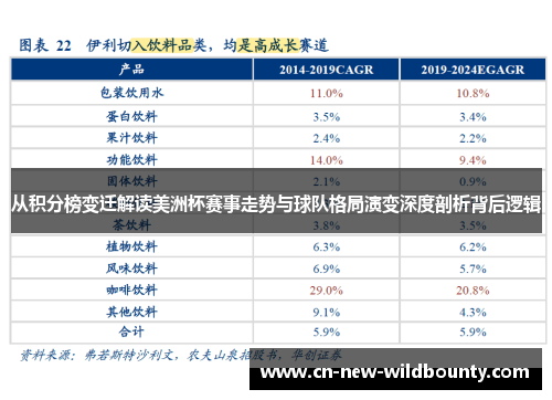 从积分榜变迁解读美洲杯赛事走势与球队格局演变深度剖析背后逻辑