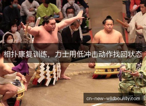 相扑康复训练,力士用低冲击动作找回状态 相扑康复训练,力士用低冲击动作找回状态